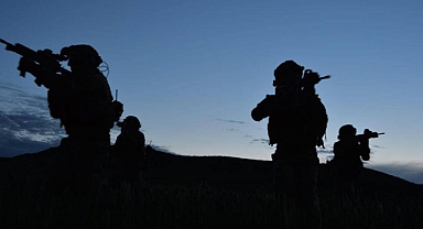 Barış Pınarı ve Zeytin Dalı'nda 14 terörist etkisiz!