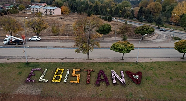 Elbistan, Kasımpatı çiçekleri ile renklendirildi