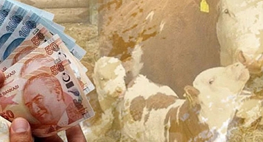 1,3 milyar liralık 'tarımsal' destek