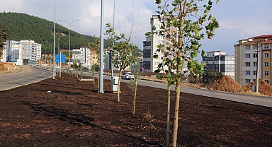 Büyükşehir 10 Bin Ağacı Toprakla Buluşturdu