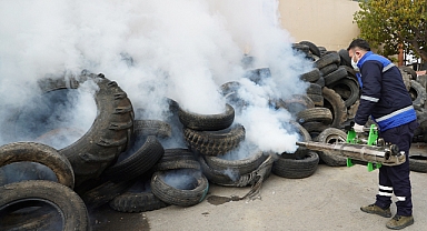 Büyükşehir, Vektörlerle Mücadele İçin Sahada