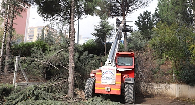 Dulkadiroğlu’nda Park ve Bahçeler Kışa Hazırlanıyor