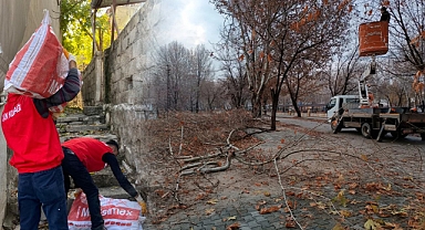 Elbistan’da Budanan ağaç dalları, dar gelirli ailelere ulaştırılıyor