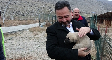 Elbistan’da hem sokak hayvanları korunacak hem de insanlarımız