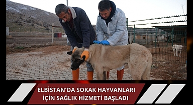 Elbistan'da Sokak Hayvanları için Sağlık Hizmeti Başladı 