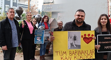 Hayvan Hakları Savunucularından Sokak Hayvanları Açıklaması!