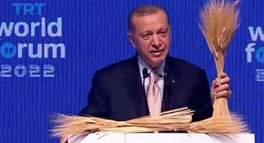 Tahıl krizi için Putin'le görüşülecek