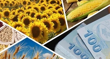 972 milyon liralık 'tarımsal' destek hesaplara yatırılıyor