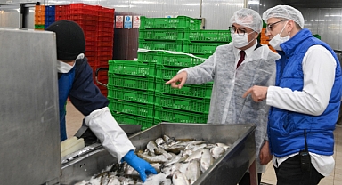 Başkan Güngör: Balık Üretiminde Öncü Şehiriz