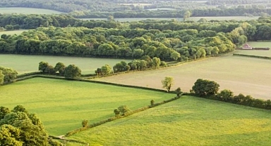 Hazine arazileri 'enerji' verecek