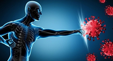 Kış Aylarında Bağışıklık Sistemini Güçlendiren 8 Besin 