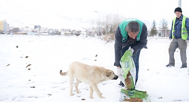 Elbistan'da Sokak Hayvanları İçin Yem ve Mama Bırakıldı