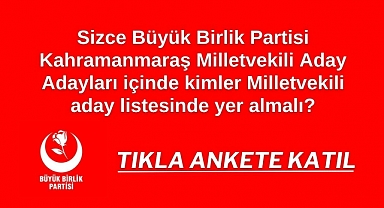 Büyük Birlik Partisi ANKET