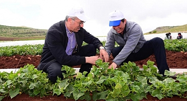 Başkan Güngör: Tarımsal Üretimimizi Artıracağız