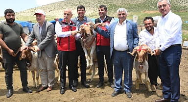 Çiftçilere 341 Milyon TL’lik Destek