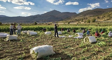 Deprem bölgesinden 300 ton ürün alacak