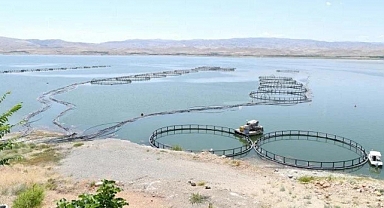 Depremzede su ürünleri yetiştiricisi ve balıkçılara destek