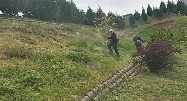 Dulkadiroğlu’ndan Çevre Temizliği