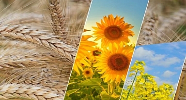 124 milyon TL’lik tarımsal destek hesaplarda