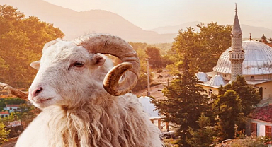 Kızılay'ın kurban vekâleti bedelleri belli oldu