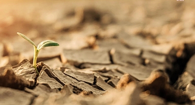 Türkiye’nin yüzde 73.4’ü çölleşme tehlikesi altında