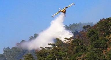 Cumhurbaşkanı Erdoğan’dan ’yeşil vatan’ sahipliğine davet