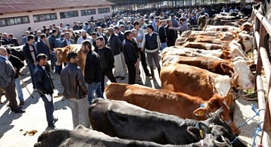 Elbistan'da karantina kararı