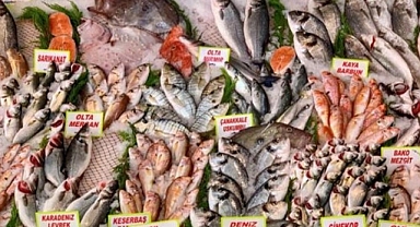 Tarım ÜFE’de balıkçılık Haziran’da arttı