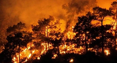 Turizm cenneti alevler içinde kaldı