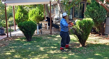 Büyükşehir, Yeşil Alanları Bakıma Aldı