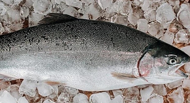 Dondurulmuş balık alırken dikkat!