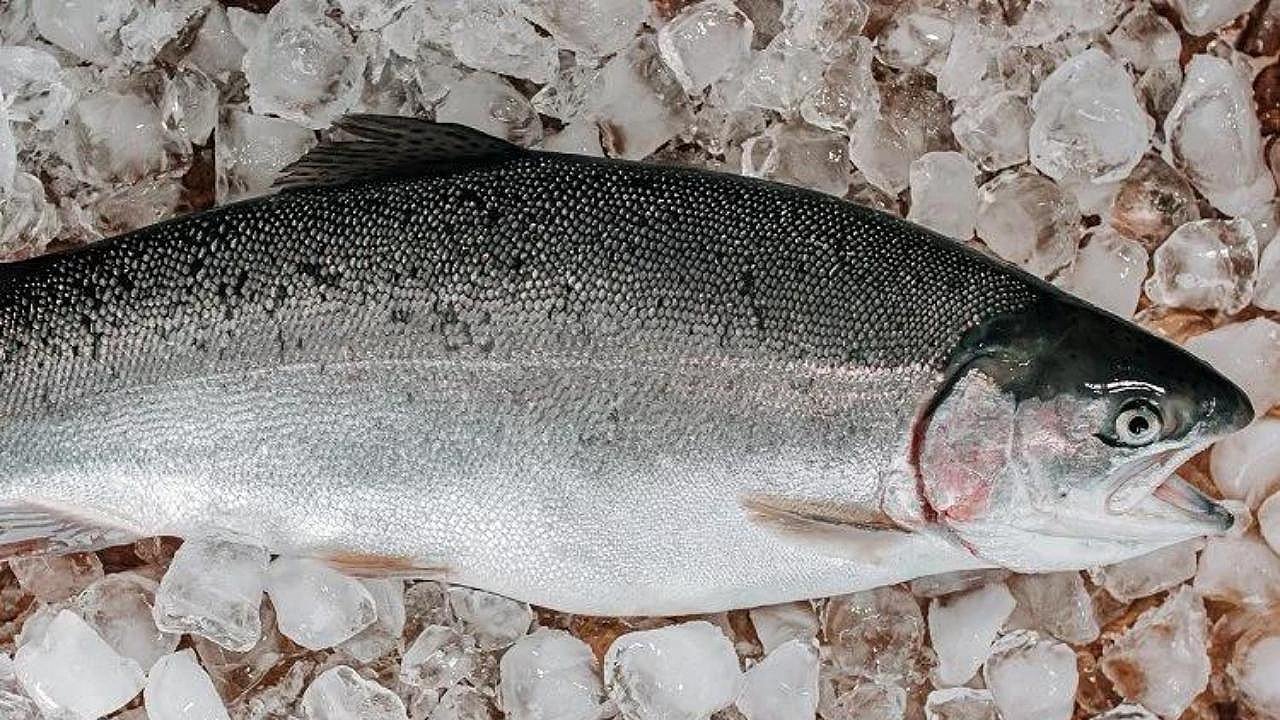 Dondurulmuş balık alırken dikkat!