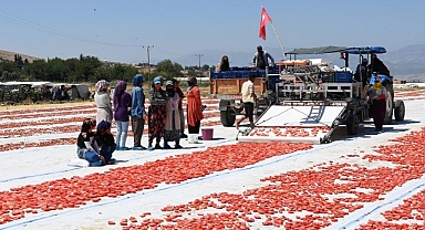 Kahramanmaraş’ta Tarım Ürünlerinin İhracattaki Payı Artıyor