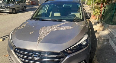 Gazeteci Mesut Tuğrul'un otomobiline asitli saldırı!