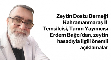Zeytin Hasadı Başlıyor