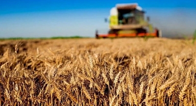 Tarım-ÜFE Kasım’da geriledi 