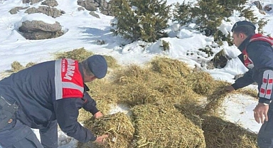 Jandarma’dan doğa dostu adım