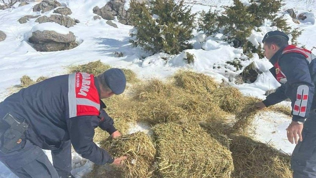 Jandarma’dan doğa dostu adım