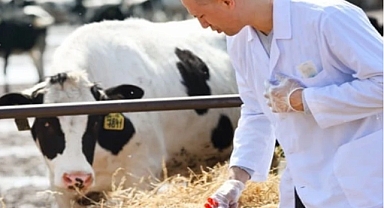 Tarımsal girdiler artışta... Veteriner harcamaları başı çekiyor
