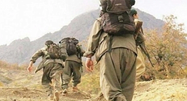 1 terörist Habur’da teslim oldu!