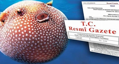 Balon balığı avlayanlara destek!