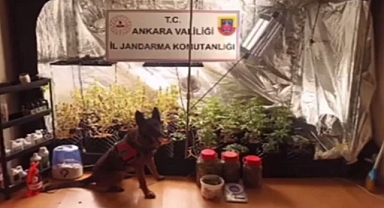 Narkoçelik-13’te 194 gözaltı