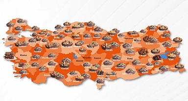 Hangi il, hangi kuruyemişi tercih ediyor? 