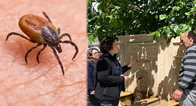 Kene ısırıklarına dikkat! Öldürebilir