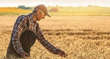 Tarımsal üretim kredilerinin esasları belirlendi
