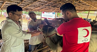 Kızızılay’ın yurt içi ve yurt dışında kurban kesimleri başladı