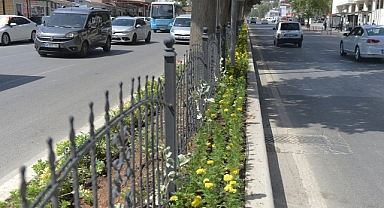 Azerbaycan Bulvarı Renkleniyor