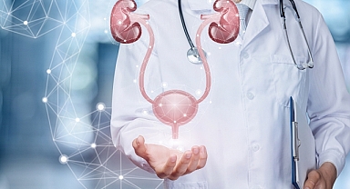 İdrar Sıklığı, Yorgunluk, İştahsızlık: Kronik Böbrek Hastası Mısınız?