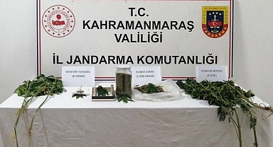 Kahramanmaraş’ta Jandarmadan kenevir operasyonu