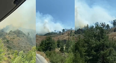 Kahramanmaraş'ta yine orman yangını!